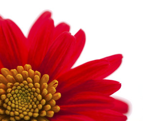 Similar image 782415