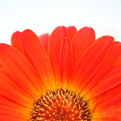 Similar image 782416