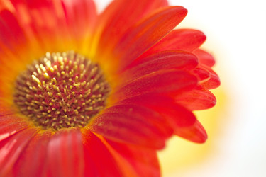 Similar image 782434