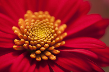 Similar image 782441