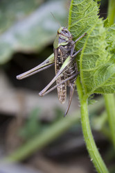 Similar image 782451