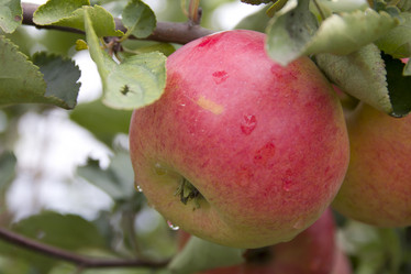 Similar image 782452