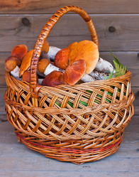 Similar image 782454