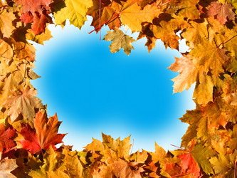 Similar image 782464