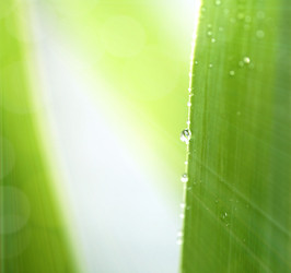 Similar image 782465