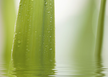 Similar image 782472