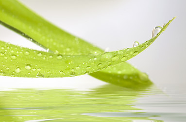 Similar image 782474