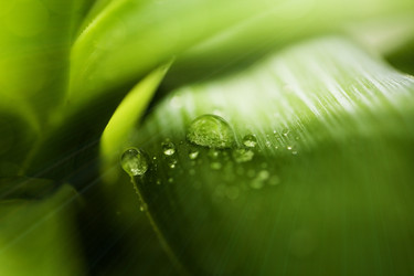 Similar image 782477