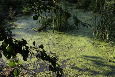 Similar image 782481