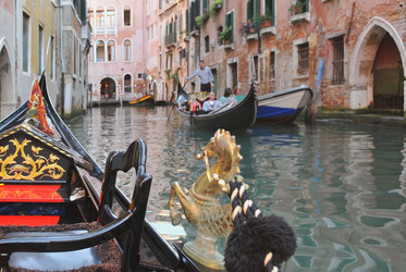 Similar image 782493