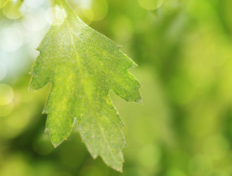 Similar image 782494