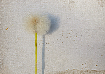 Similar image 782503