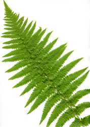 Similar image 782504