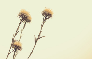 Similar image 782532