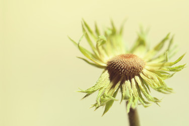 Similar image 782542