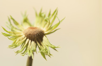 Similar image 782547