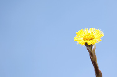 Similar image 782548