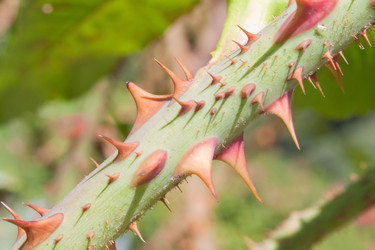 Similar image 782563