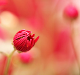 Similar image 782576