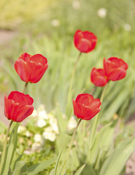 Similar image 782582