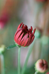 Similar image 782584