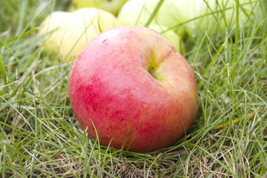 Similar image 782593