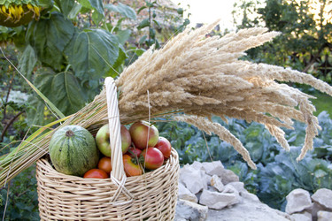 Similar image 782594