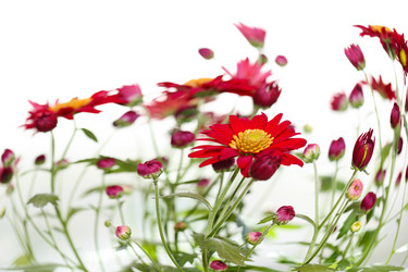 Similar image 782595