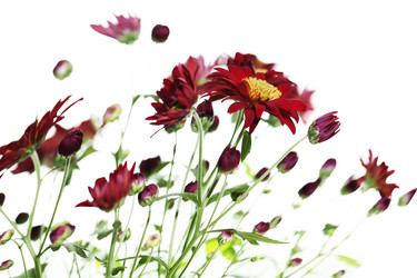 Similar image 782596