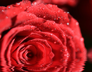 Similar image 782601