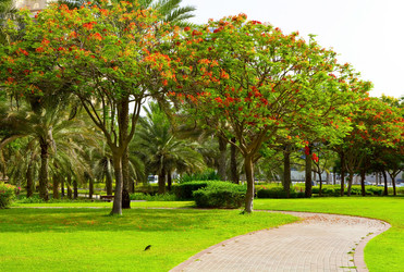 Similar image 782604