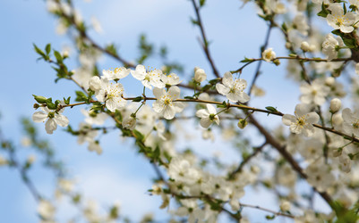 Similar image 782605