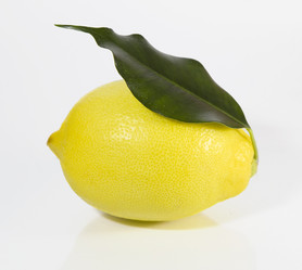 Similar image 782613