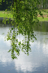 Similar image 782622