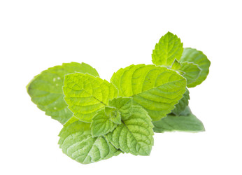 Similar image 782631