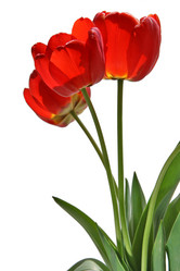 Similar image 782977