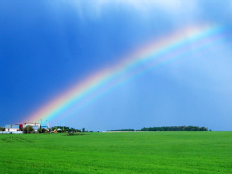 Similar image 782999