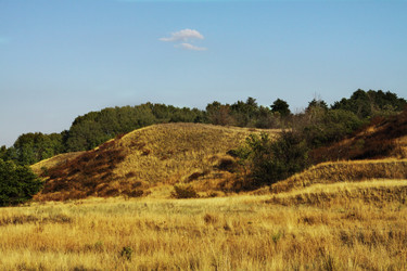 Similar image 783003