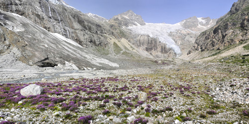 Similar image 783016