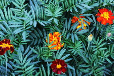 Similar image 783017