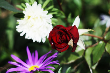 Similar image 783018