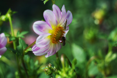 Similar image 783021