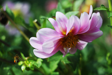 Similar image 783023