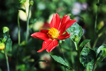 Similar image 783025