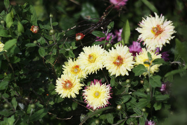 Similar image 783027