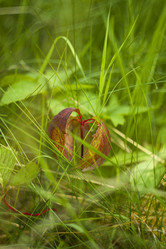 Similar image 783109