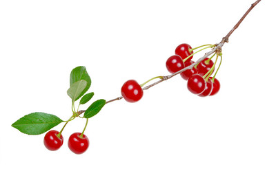 Similar image 783110