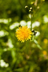 Similar image 783113