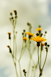 Similar image 783115