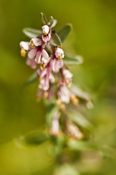 Similar image 783120